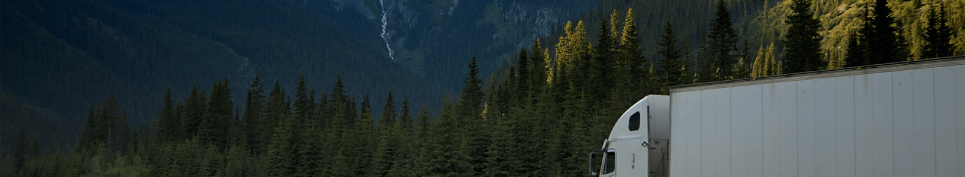 cover-pic-3.png